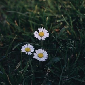 Meet your Posher, Lorena